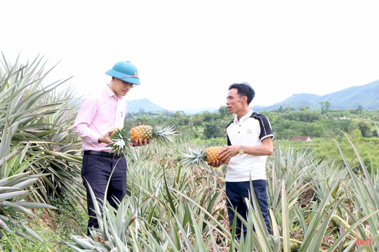 Tăng nguồn vốn địa phương, nâng cao hiệu quả tín dụng chính sách