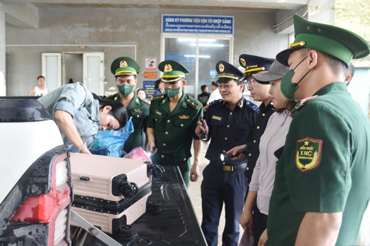 Hải quan đồng loạt triển khai Tháng hành động phòng, chống ma túy năm 2026 