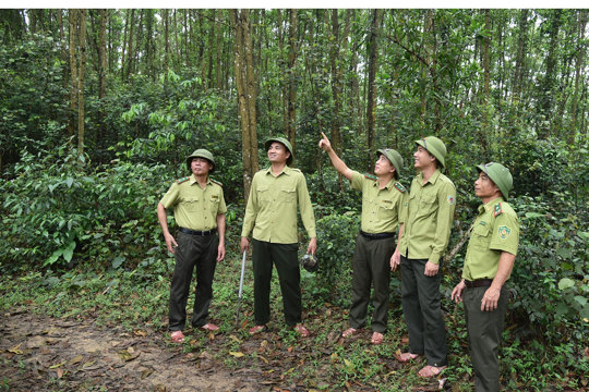 Hạt Kiểm lâm Hoành Sơn thông báo điều chuyển gỗ tịch thu phục vụ xây dựng công trình công cộng