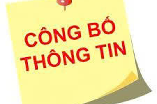 Báo cáo tài chính năm 2024 