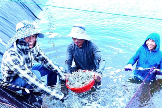 Nghị quyết 68 và 'điểm tựa' mới cho kinh tế tư nhân Hà Tĩnh 