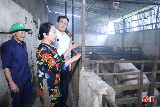 Lãnh đạo cơ quan chuyên môn ngành NN&MT Hà Tĩnh khuyến cáo về việc tái đàn lợn 