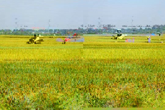 Quy định về mức nộp tiền cụ thể khi chuyển đất chuyên trồng lúa sang mục đích phi nông nghiệp trên địa bàn tỉnh Hà Tĩnh 