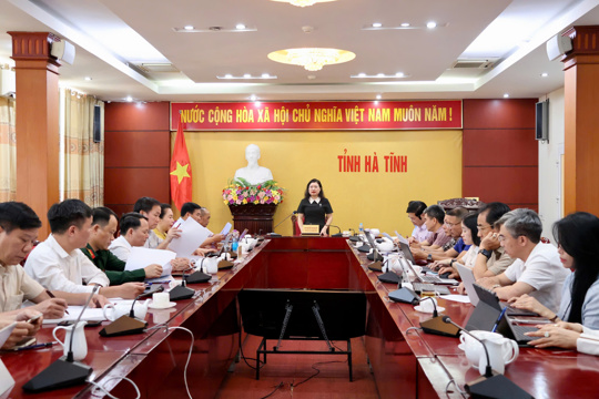 Họp Ban Chỉ đạo Đại hội Thể dục thể thao toàn tỉnh lần thứ X năm 2026 