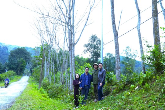 ERPA hỗ trợ hoàn thiện hạ tầng cộng đồng cho các thôn vùng rừng xã Hương Khê