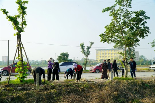 Ra quân vệ sinh môi trường, phường Trần Phú hướng tới đô thị văn minh