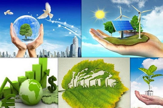 Nâng cao hiệu lực, hiệu quả thực hiện chính sách, pháp luật về bảo vệ môi trường trên địa bàn tỉnh Hà Tĩnh