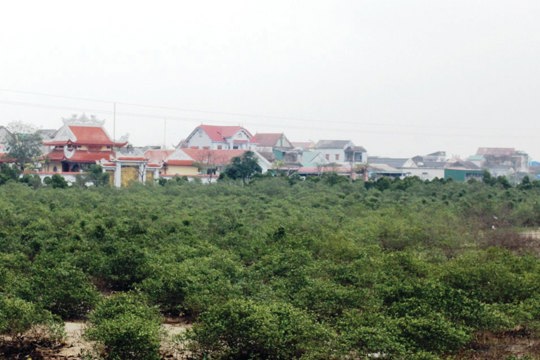 Phê duyệt giá đất cụ thể Cụm công nghiệp Cẩm Nhượng, Hà Tĩnh