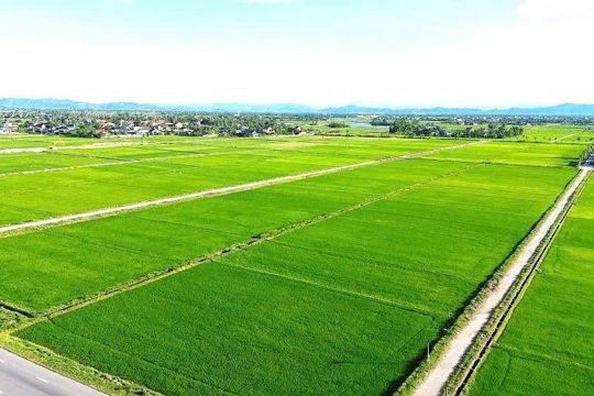 Hà Tĩnh ban hành Quyết định số 34/2026/QĐ-UBND: Đẩy mạnh phân cấp, ủy quyền trong lĩnh vực đất đai, nâng cao hiệu quả quản lý nhà nước 