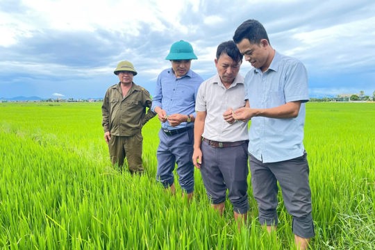 HĐND tỉnh Hà Tĩnh thông qua Nghị quyết  nguyên tắc phân bổ vốn thực hiện các Chương trình mục tiêu quốc gia
