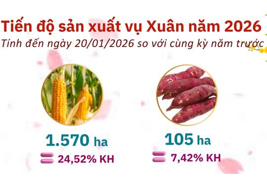 Tình hình kinh tế - xã hội tỉnh Hà Tĩnh tháng 01 năm 2026