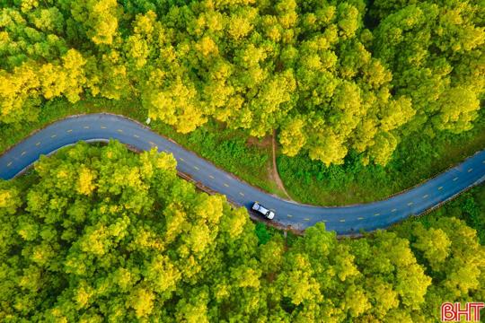 Thông tin mới về không khí lạnh ảnh hưởng tới Hà Tĩnh 