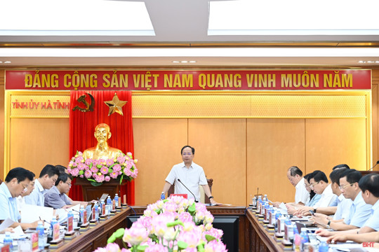 Ban Thường vụ Tỉnh ủy Hà Tĩnh cho ý kiến các nội dung thuộc thẩm quyền