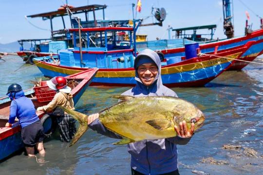 Ngư dân Hà Tĩnh trúng hơn một tấn cá chim vàng
