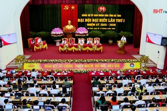 100% cử tri Văn phòng UBND tỉnh tín nhiệm người được giới thiệu ứng cử đại biểu HĐND tỉnh nhiệm kỳ 2026–2031 