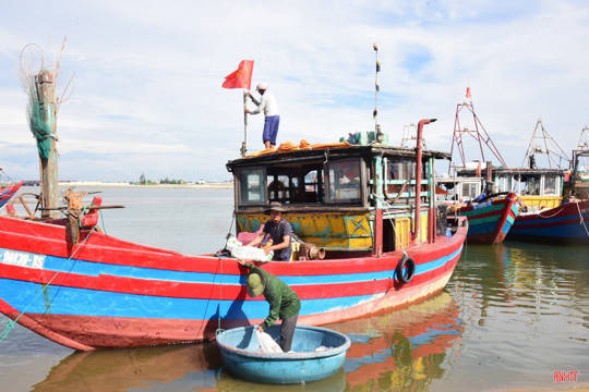 6 tháng, ngư dân Hà Tĩnh thu hơn 1.200 tỷ đồng từ biển
