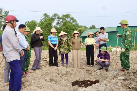 Xã Vũ Quang hướng dẫn kỹ thuật trồng cây gấc, mở hướng phát triển kinh tế hộ 