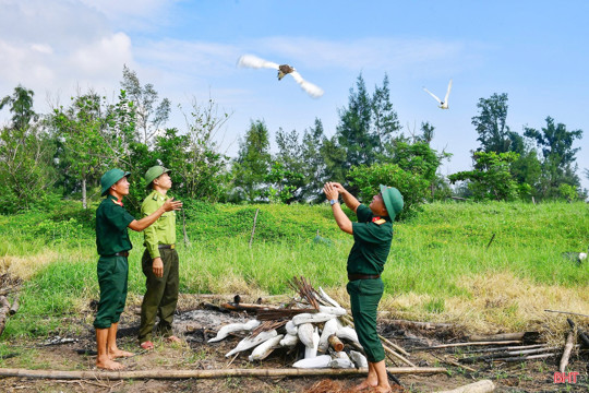 Siết chặt quản lý, quyết tâm ngăn chặn tình trạng săn bắt chim trời