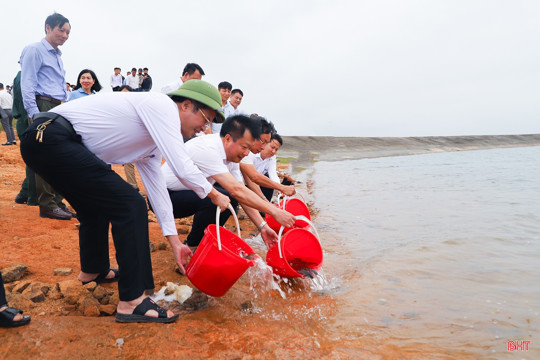 Hà Tĩnh thả hơn 4 vạn cá giống tái tạo nguồn lợi thủy sản