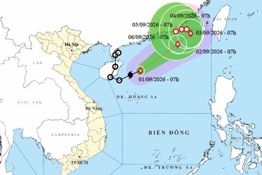 Áp thấp nhiệt đới mạnh lên thành bão số 5
