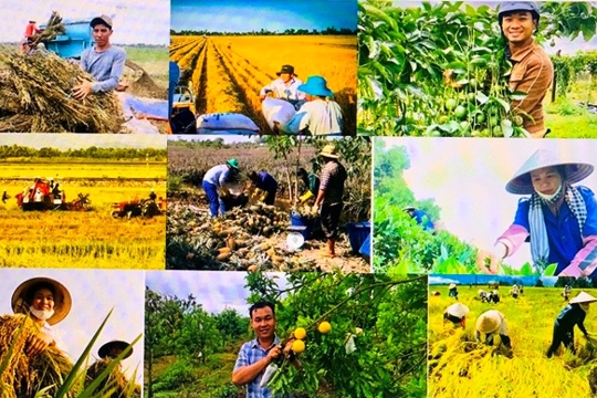 Triển khai chương trình mục tiêu quốc gia xây dựng nông thôn mới, giảm nghèo bền vững giai đoạn 2026–2035 trên địa bàn tỉnh Hà Tĩnh