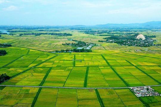 Công khai thông tin về giá đất cụ thể Dự án Khu dân cư trung tâm thị trấn Đức Thọ (Khu A-OM-10, OM-11)