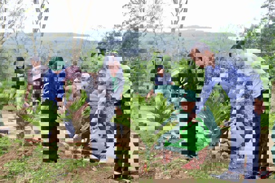 Vũ Quang phát động Tết trồng cây và thả cá tái tạo nguồn lợi thủy sản