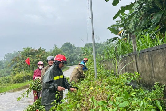 Chung sức chỉnh trang cảnh quan, xây dựng nông thôn mới tại xã Tứ Mỹ