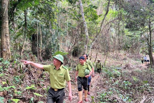 Chủ động phòng ngừa cháy rừng trong cao điểm nắng nóng