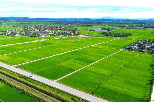 Thông báo kết quả lựa chọn tổ chức hành nghề đấu giá quyền sử dụng đất 2 lô đất tại xã Nghi Xuân