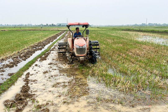 Đức Quang: Nông dân phấn khởi vào mùa vụ mới