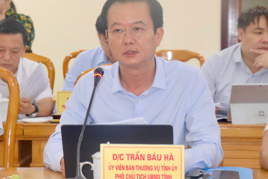 Đồng chí Phó Chủ tịch UBND tỉnh Trần Báu Hà làm việc với đoàn công tác của Ngân hàng Phát triển châu Á