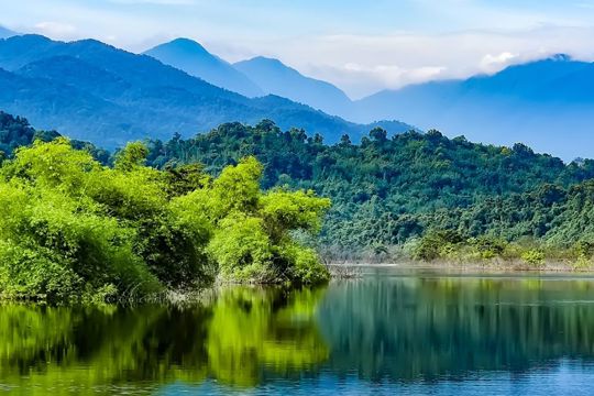 Tài nguyên rừng và động, thực vật 