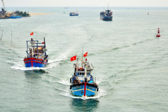 Yêu cầu siết chặt xử lý vi phạm hành chính trong lĩnh vực thủy sản, chống khai thác IUU trên địa bàn tỉnh Hà Tĩnh 