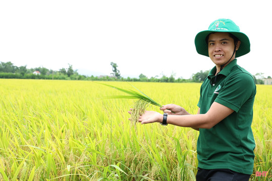 Canh tác "xanh", mở lối cho nông thôn mới bền vững ở Hà Tĩnh 