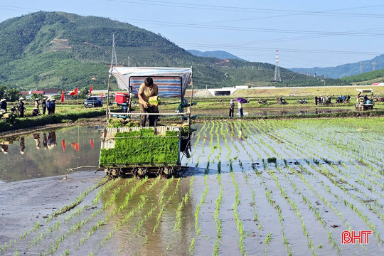 Lần đầu tiên nông dân Kỳ Xuân cấy lúa bằng máy và làm mạ khay