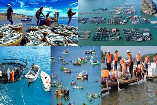 Bộ Nông nghiệp và Môi trường công bố thủ tục hành chính mới trong lĩnh vực thủy sản và kiểm ngư 