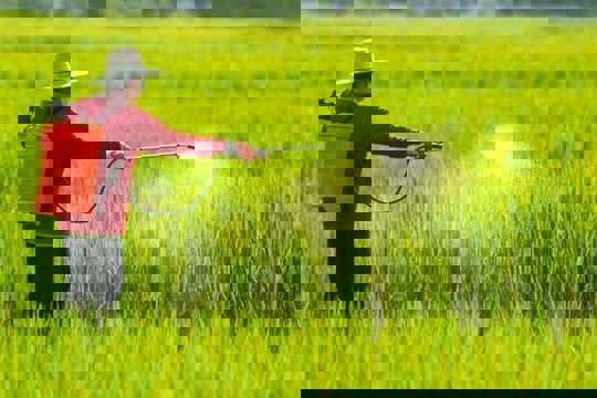 Quy định mới về điều kiện sản xuất, buôn bán thuốc bảo vệ thực vật