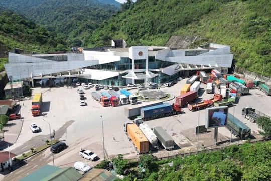 Chấp thuận chủ trương đầu tư Dự án Nhà máy chế biến lâm sản Hà Tân tại KKT Cửa khẩu quốc tế Cầu Treo 