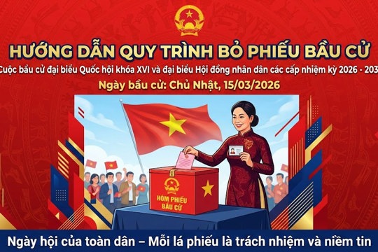 Quy trình bỏ phiếu bầu cử theo quy định hiện hành