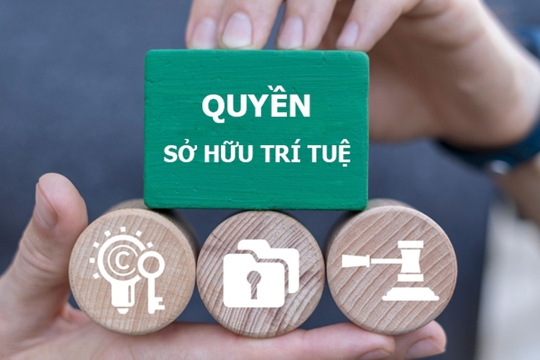 Hà Tĩnh tăng cường đấu tranh, xử lý hành vi xâm phạm quyền sở hữu trí tuệ 
