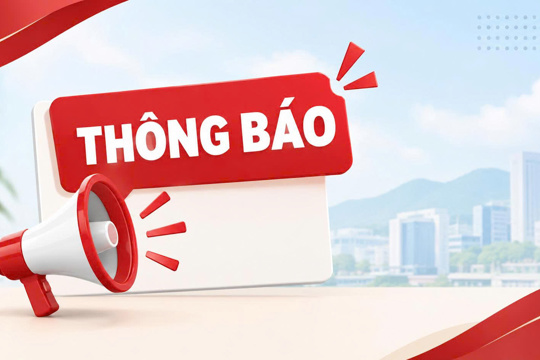 Lựa chọn đơn vị tổ chức đấu giá 40 lô đất tại phường Trần Phú 