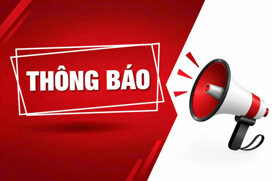 Hà Tĩnh lựa chọn tổ chức đấu giá 9 lô đất, giá khởi điểm hơn 16,7 tỷ đồng