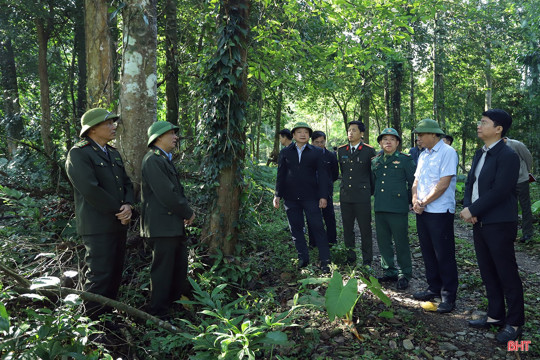 Tăng cường tuần tra, xử lý nghiêm hành vi xâm hại rừng dịp Tết