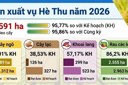 Tình hình kinh tế - xã hội tháng Bảy và 7 tháng năm 2026 tỉnh Hà Tĩnh