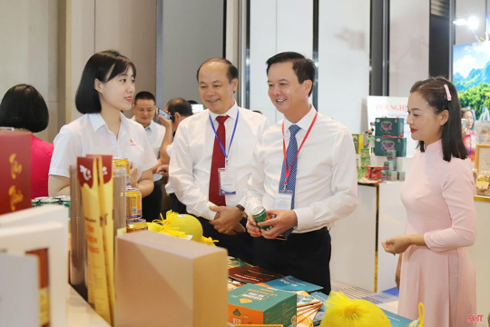 Ký hợp tác phát triển giữa TP Hồ Chí Minh với Hà Tĩnh và một số địa phương