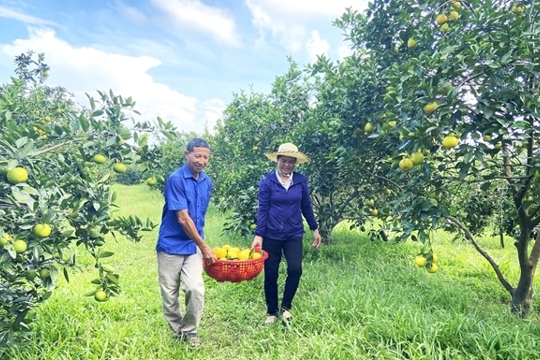 Ban hành Quy chế phối hợp thực hiện công tác khuyến nông trên địa bàn tỉnh Hà Tĩnh 