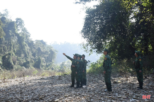 Những “ngôi sao xanh” lấp lánh 