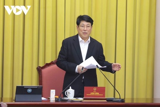 Chủ tịch nước: Chuẩn bị tốt các điều kiện phục vụ nhân dân vui Xuân đón Tết 