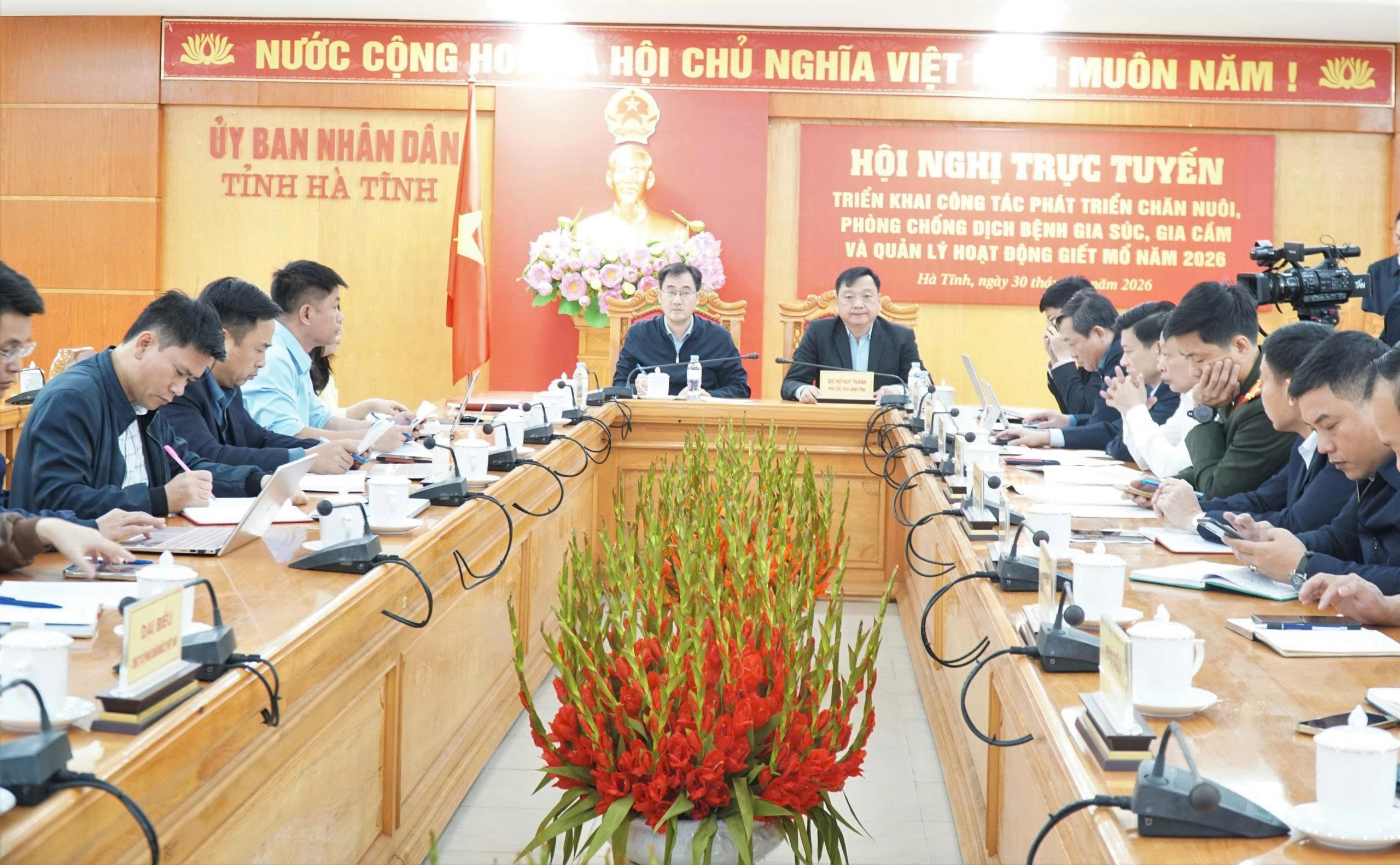 Hà Tĩnh triển khai quyết liệt các giải pháp phát triển chăn nuôi, phòng chống dịch bệnh gia súc gia cầm năm 2026